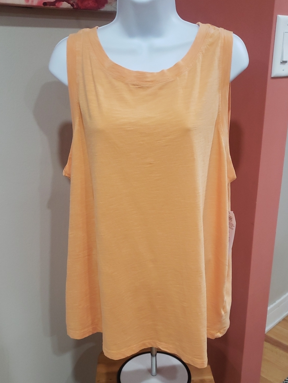 Time and Tru Women’s Peach Orange Melon Crew Neck T-Shirt, 2X (20)